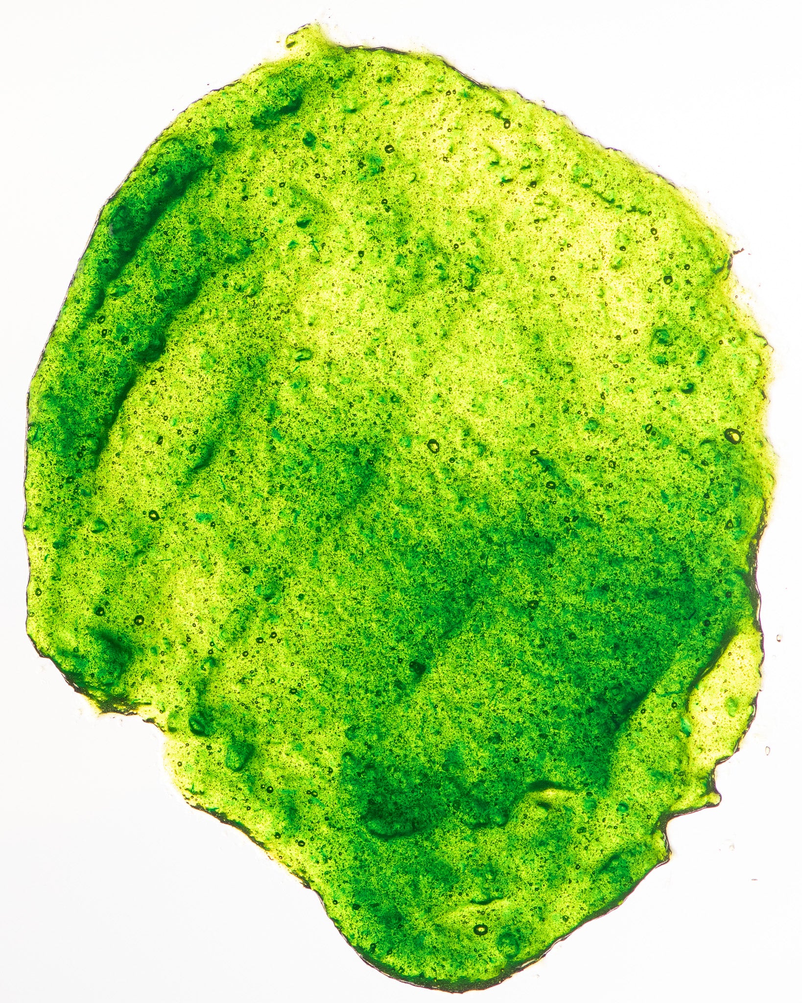 SALSA DE MANZANA ÁCIDA