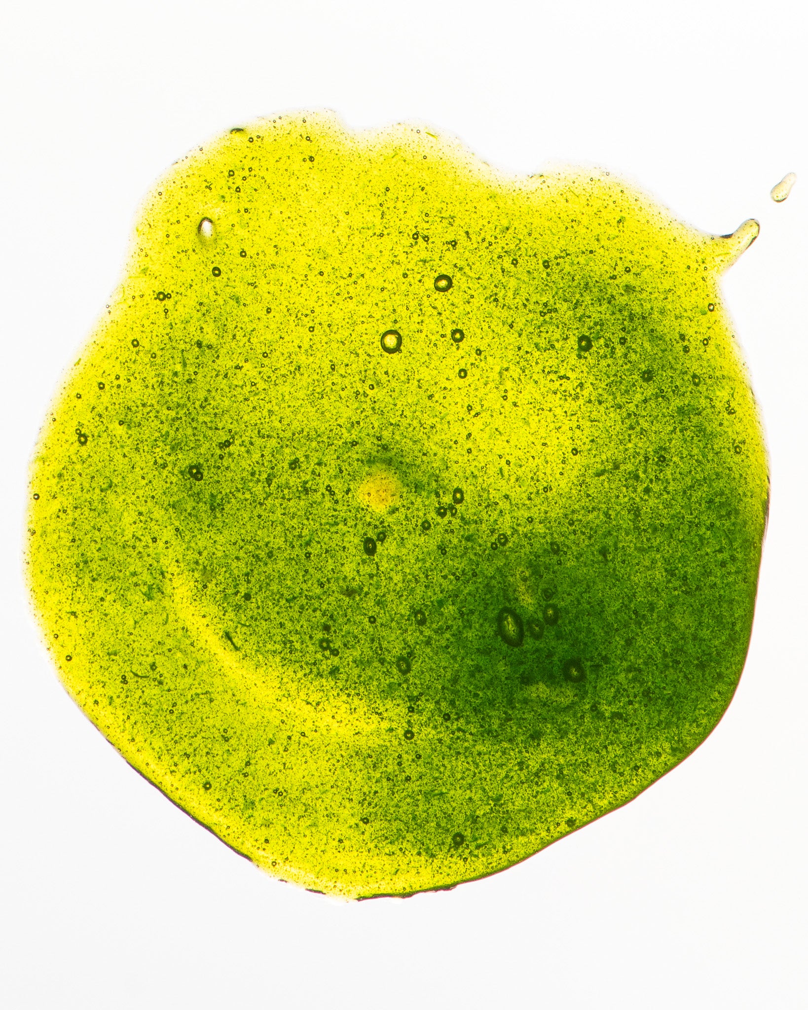 SALSA DE CHICLE DE MELÓN